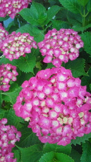 2012061100420000.jpg